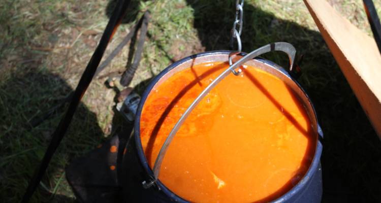 Održana tradicionalna fišijada u Novom Virju